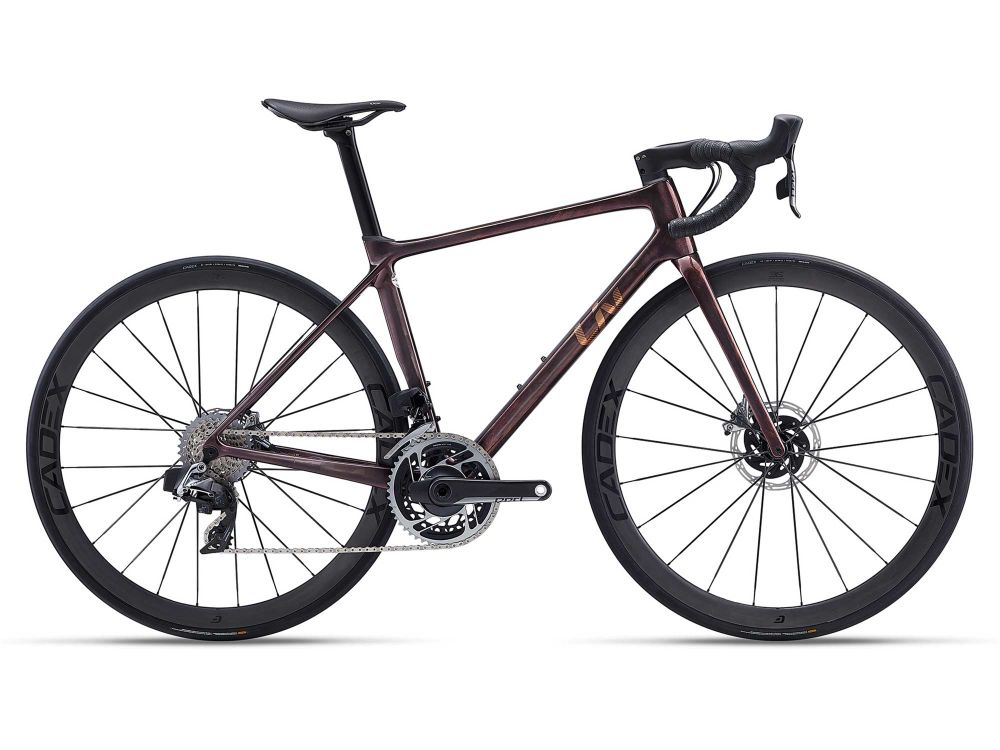 Langma Advanced SL Disc 2022 with interactive tooltips