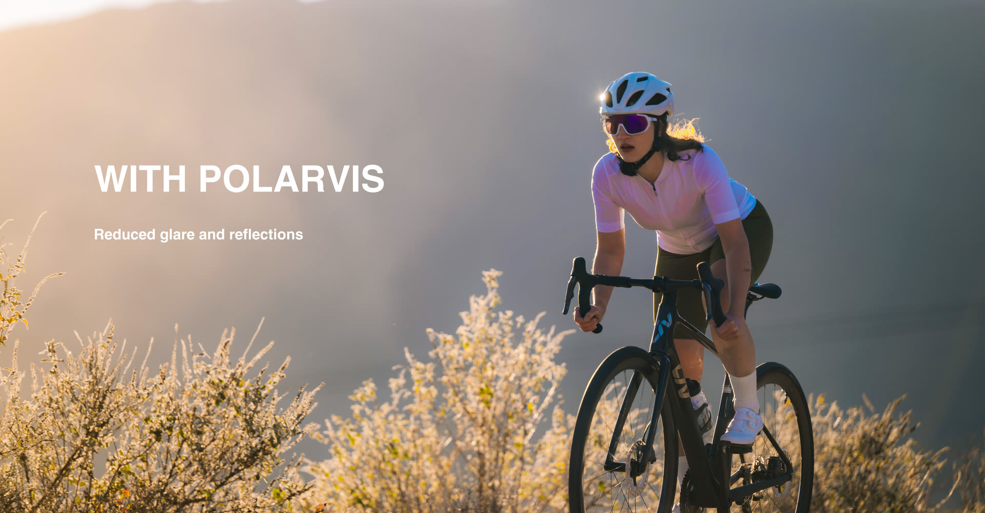 PolarVis