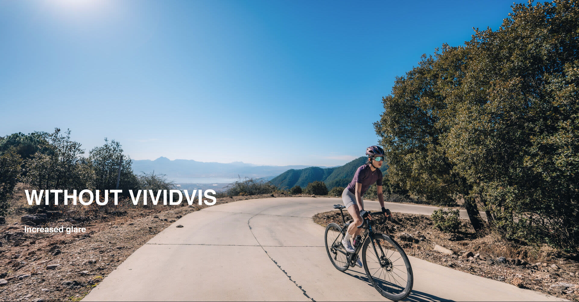VividVis