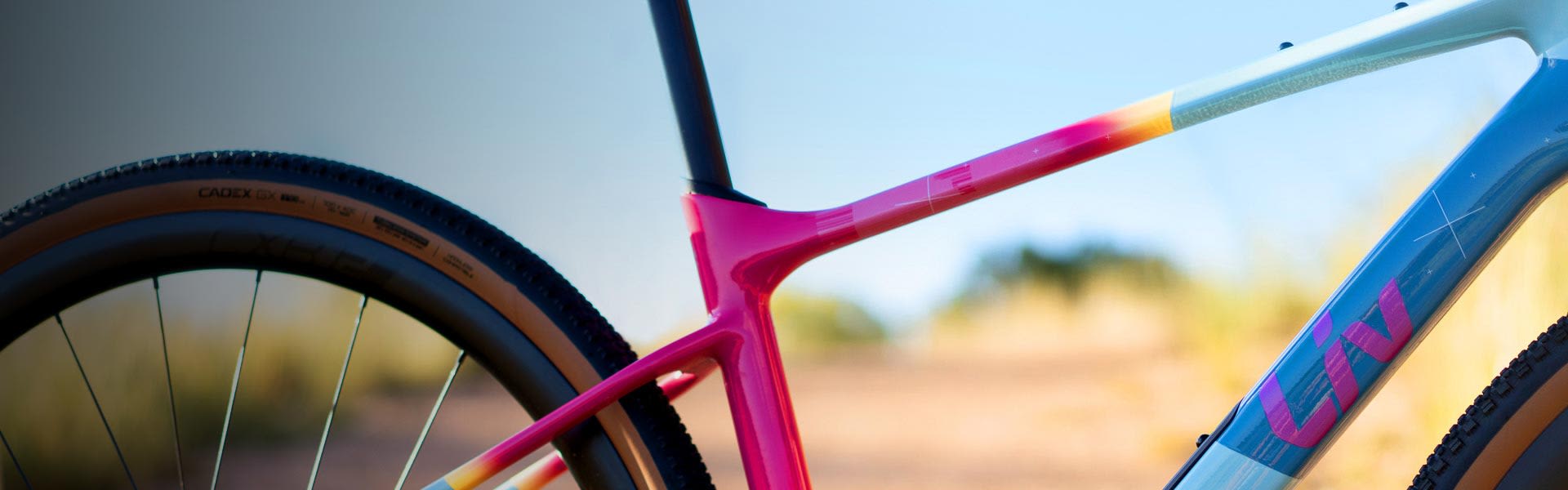 closeup of rear triangle of gravel bike