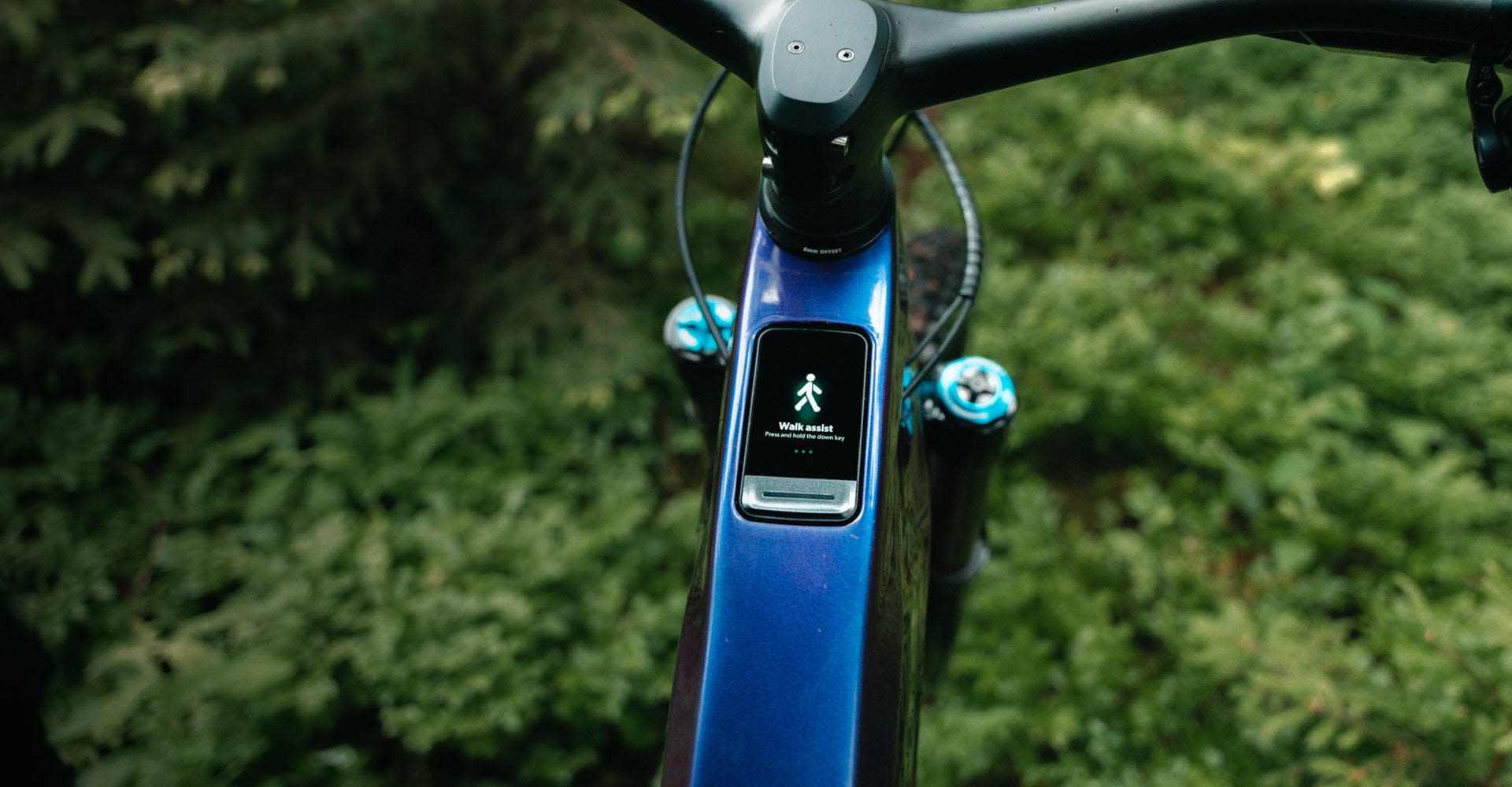 RideControl Dash walk assist