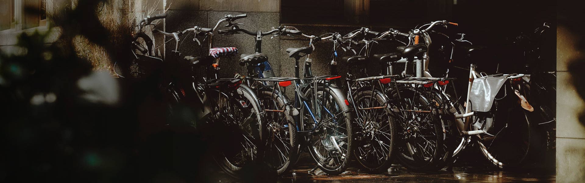 row of bikes