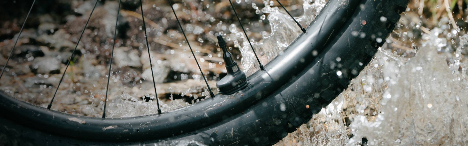Closeup of tire rolling through water.