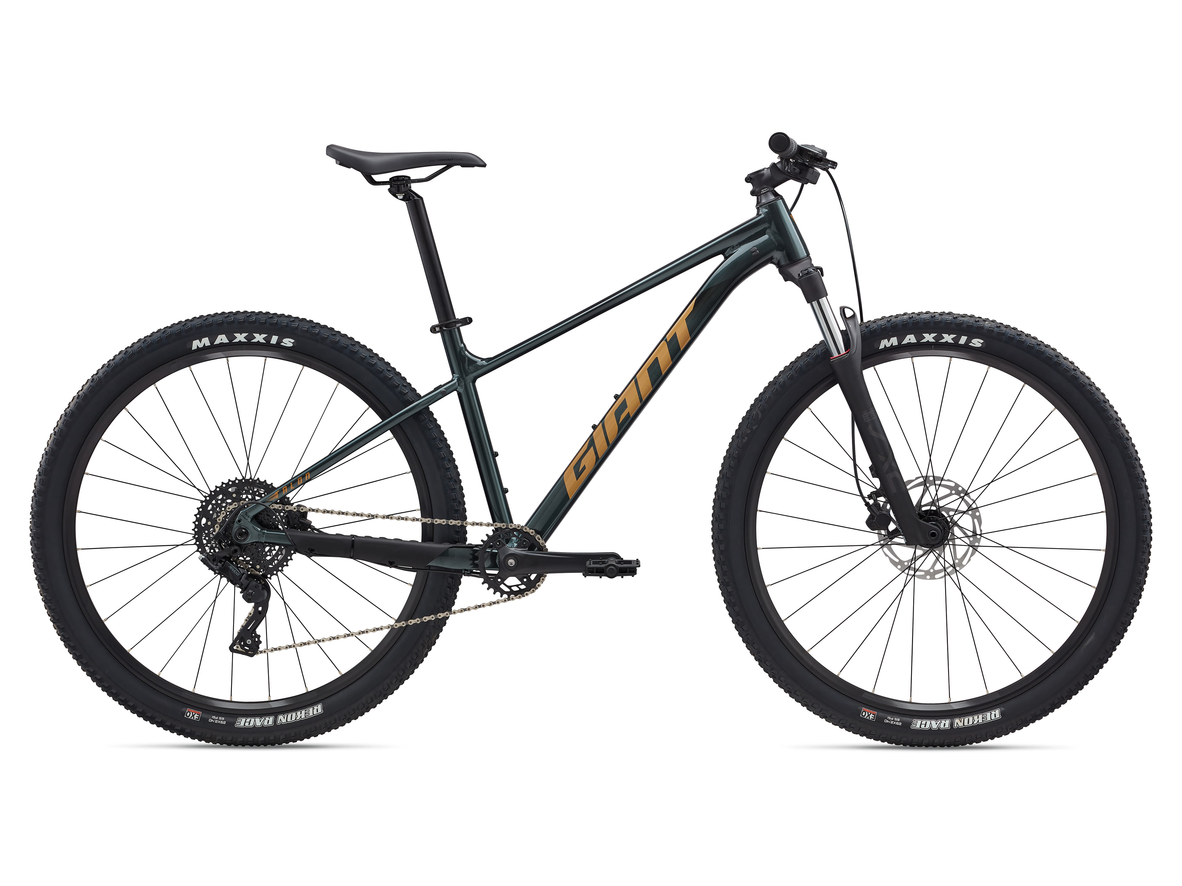 Talon 2 (2025) |  XC bike