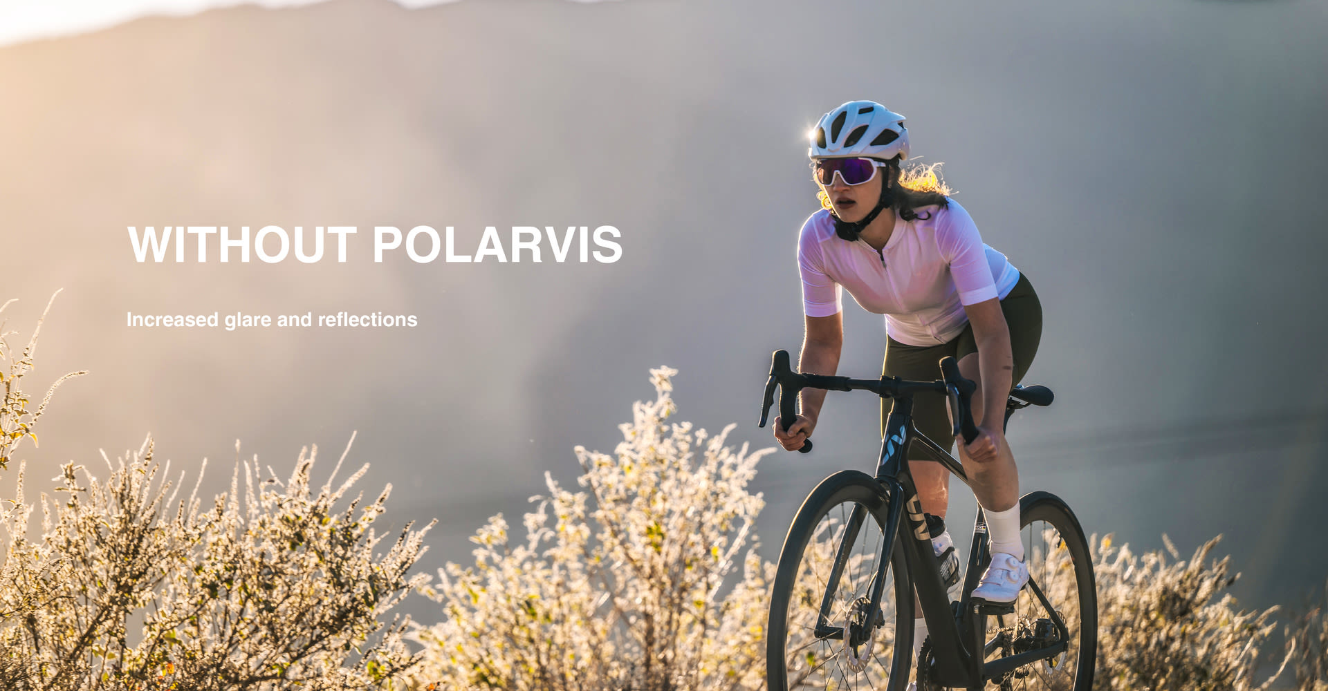 PolarVis