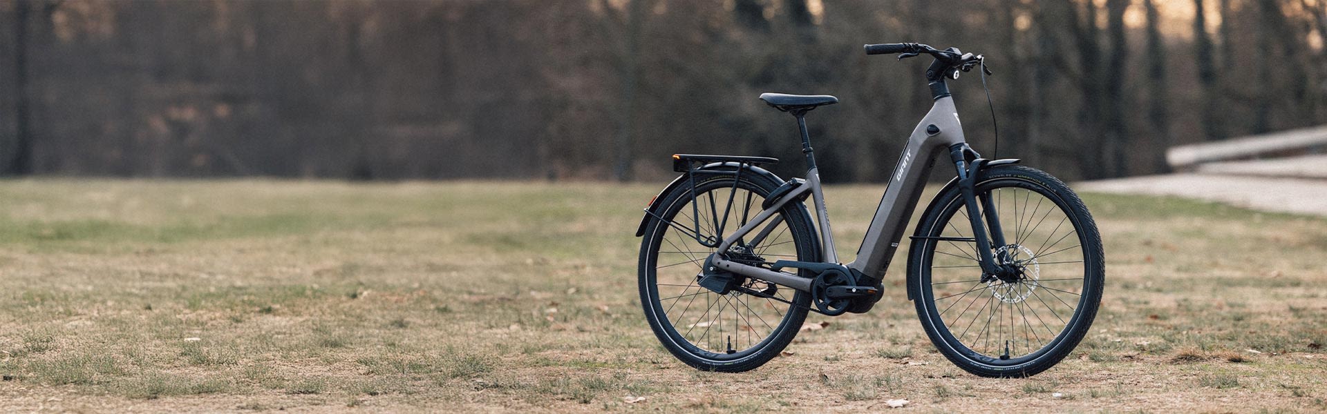 Anytour E+ electric bike on grassy field