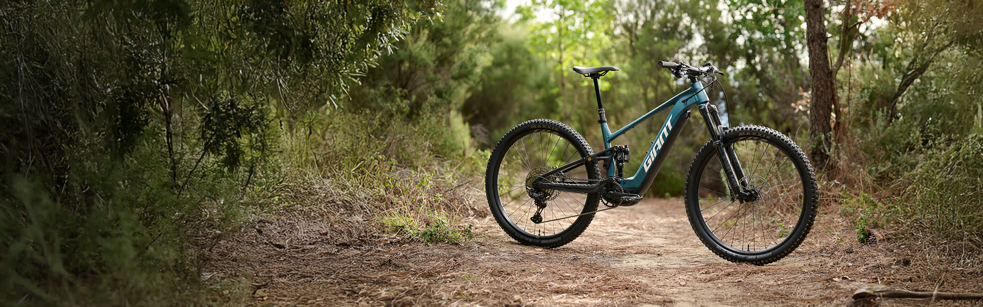 Stance E+ electric mountain bike in portrait on trail