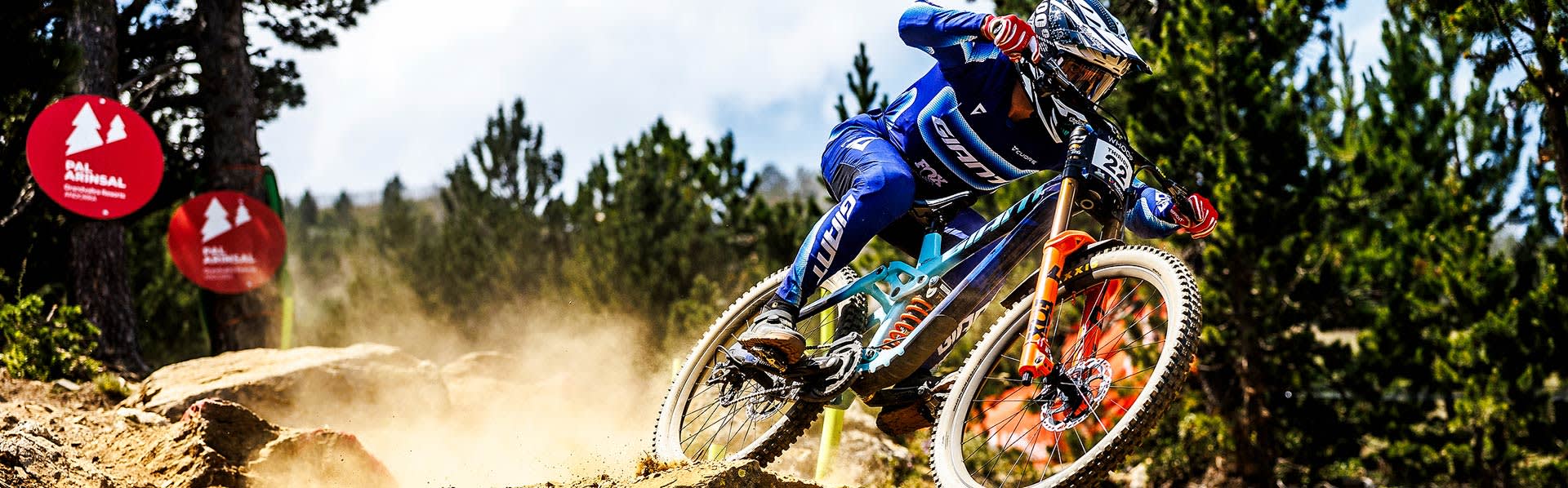 Downhill Mountain Bikes | Giant Bicycles Japan 日本