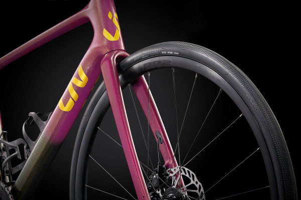 Avail Advanced 2 2024 Damen Endurance Bike Liv Cycling DE