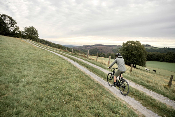 Giant roam e clearance