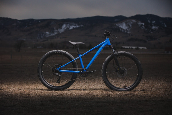 Giant stp 24 fs 2021 new arrivals