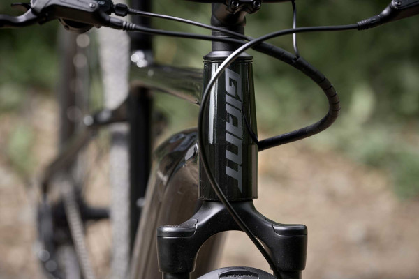 Roam E 2022 Giant Bicycles Canada
