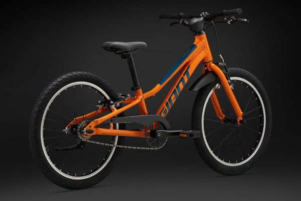 20 inch mountain bike giant online