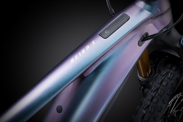 Giant Reign E 1