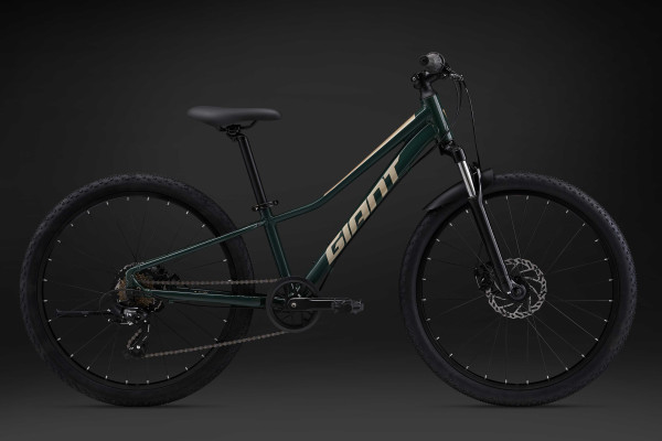 Talon 24 Disc 2024 Trail Bicicletta Giant Bicycles Italia