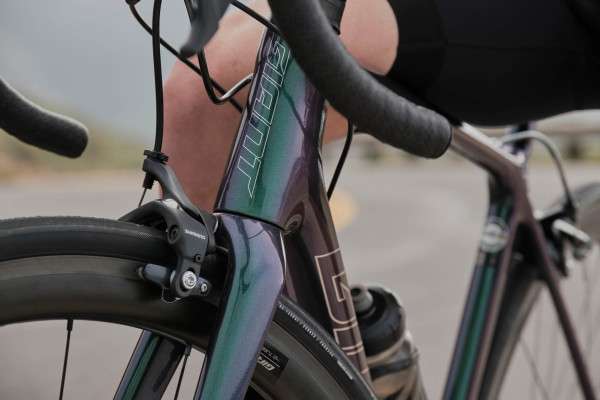 TCR Advanced SL Frameset 2021 Race bike Giant Bicycles Estonia