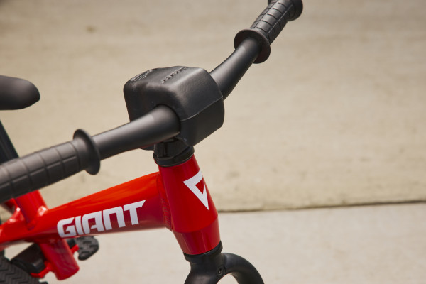 Giant pre 2025