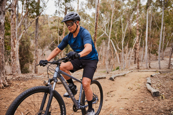 Giant falcon bike online
