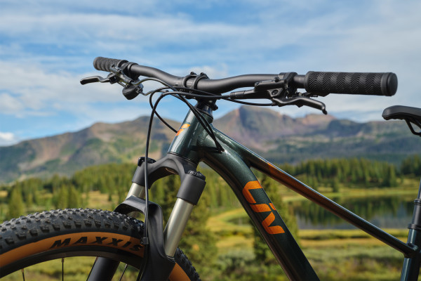 Tempt (2025) | Liv Cycling US