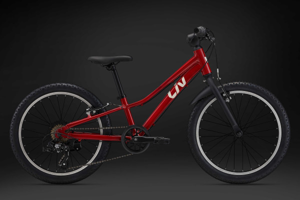 Liv bike 20 inch best sale