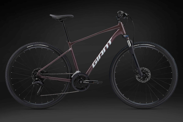 Giant roam disc 2 discount