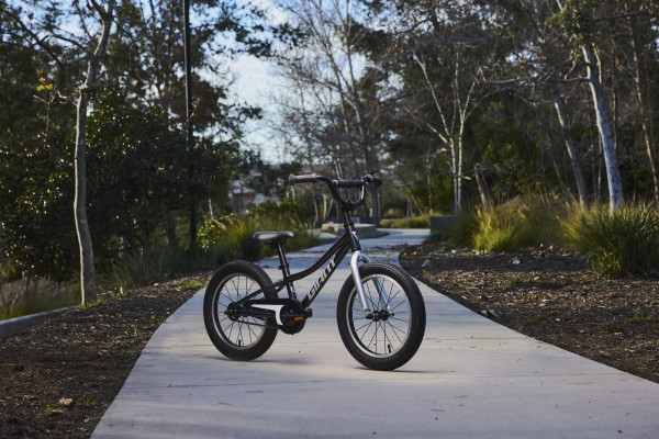 Giant animator 16 inch bike 2025