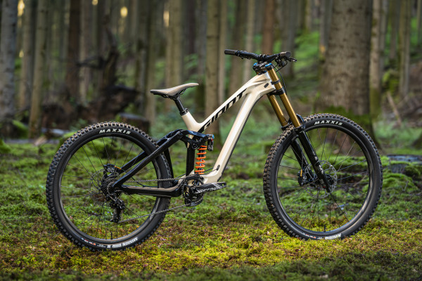 Downhill giant glory hotsell