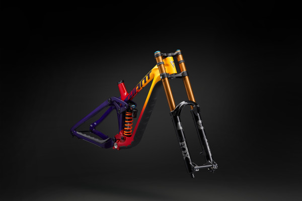Giant glory mountain bike price online