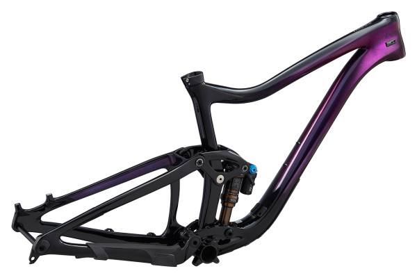 The Trance Advanced Pro 29 is also available as a frameset. Availability varies by country.
