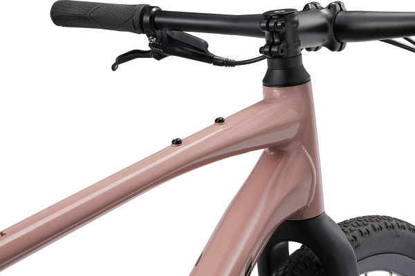The Thrive GX features frame mounts on the top tube for attaching a small gear bag. 