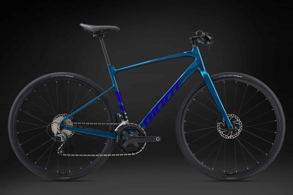 Giant fitness sales bike