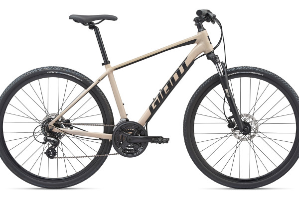 The 2020 Roam Disc 2 in light tan features a lightweight ALUXX frame and Giant Sport Comfort saddle. Availability varies by country.
