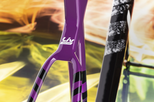 EnviLiv Advanced SL Frameset features the colors and graphics of Liv Racing TeqFind team bikes.