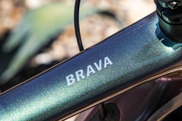 Brava Advanced Pro 1's dark iridescent color changes with the light. Availability varies by country.