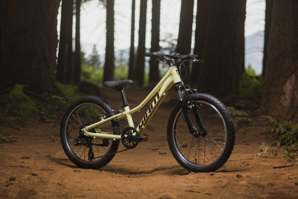 Vtt giant 20 discount pouces