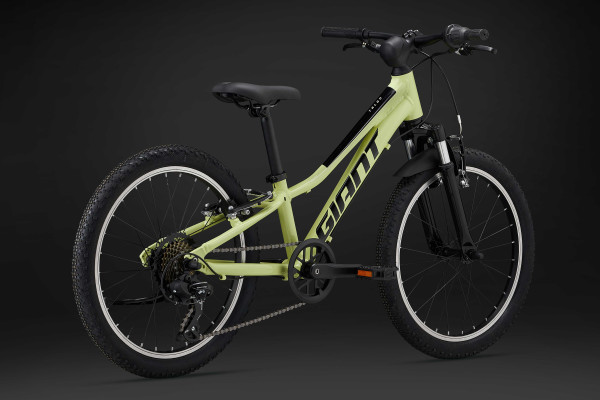 VTT 20 pouces enfant Giant Talon 20 Giant Bicycles FR