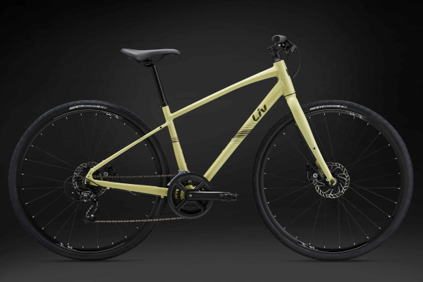 Alight DD Disc 3 2024 Women All Rounder bike Liv Cycling US