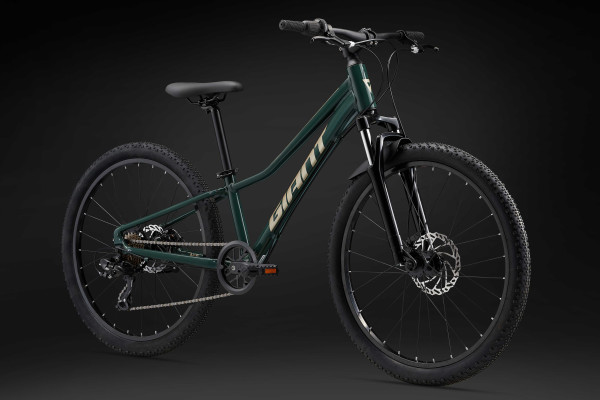 Vtt giant 24 discount pouces