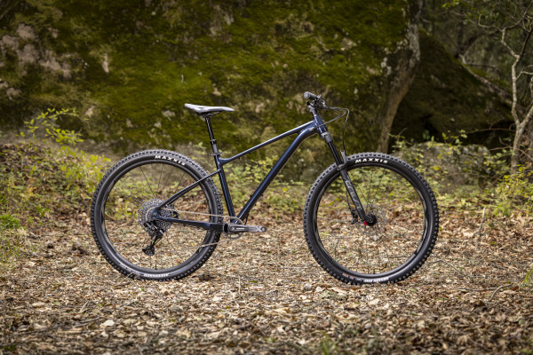 Bici store giant fathom