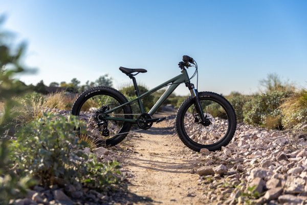 giant stp 20