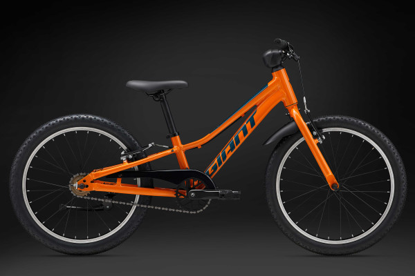 20 inch giant deals mountain bike