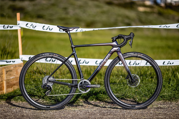 Liv brava 2025 bike