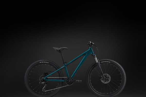 2021 giant stp 24 cheap