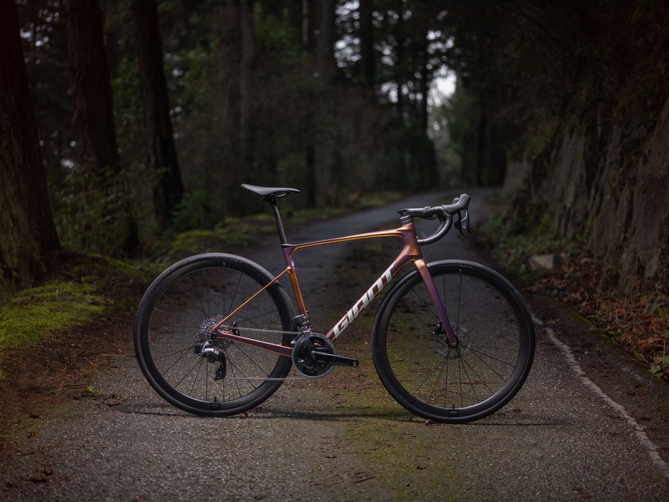 Giant Defy Advanced Pro 1 (2025) Carbon Road Bike – Ivanhoe Cycles