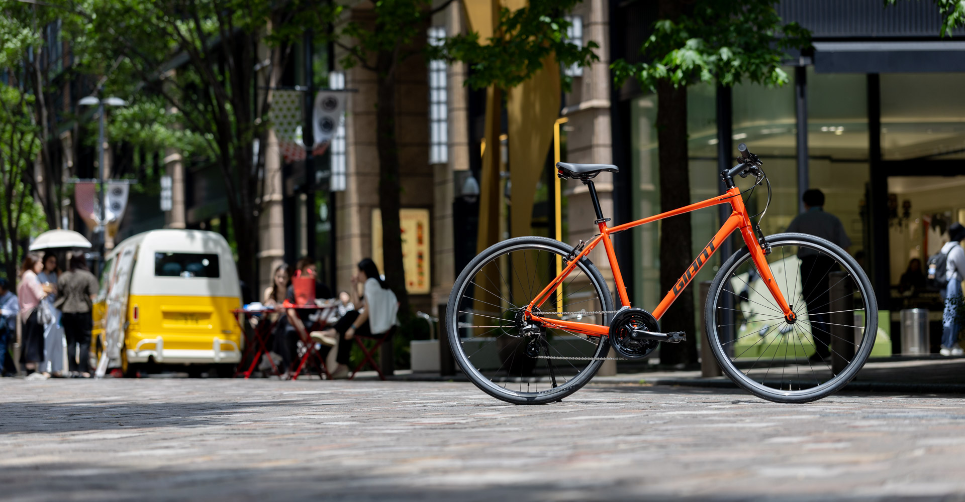 Giant Bicycles | The world's leading brand of bicycles and cycling
