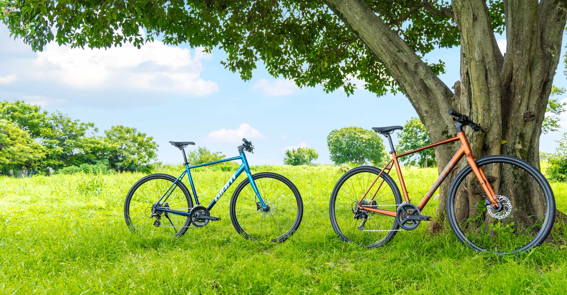 Giant Bicycles | The world's leading brand of bicycles and cycling