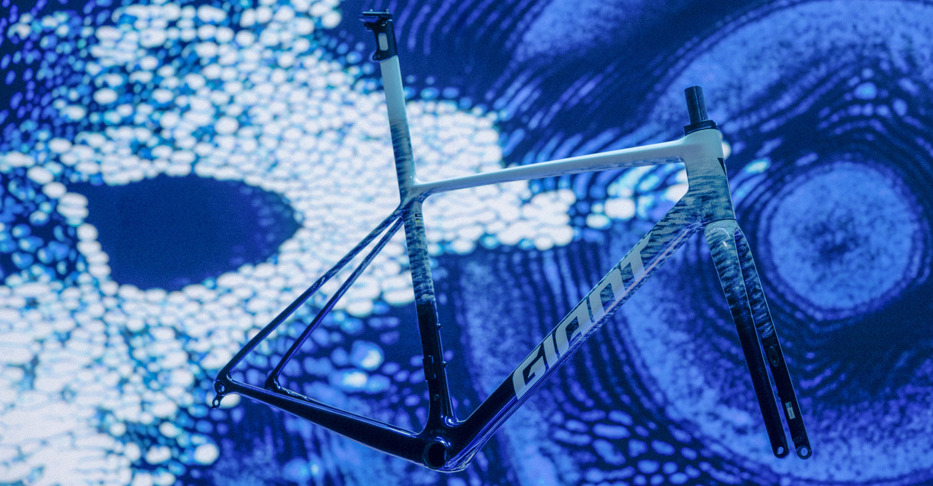 Giant Bicycles | The world's leading brand of bicycles and