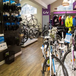 About us Giant Bicycles Giant York