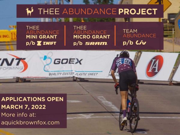 Ayesha McGowan Presents Thee Abundance Mini Grant and Micro Grant Programs