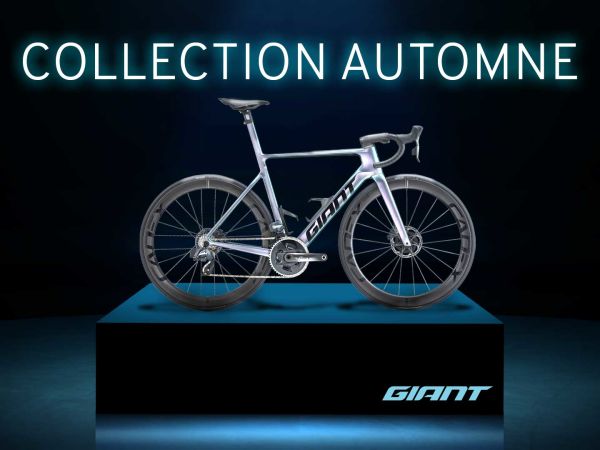 Collection Automne